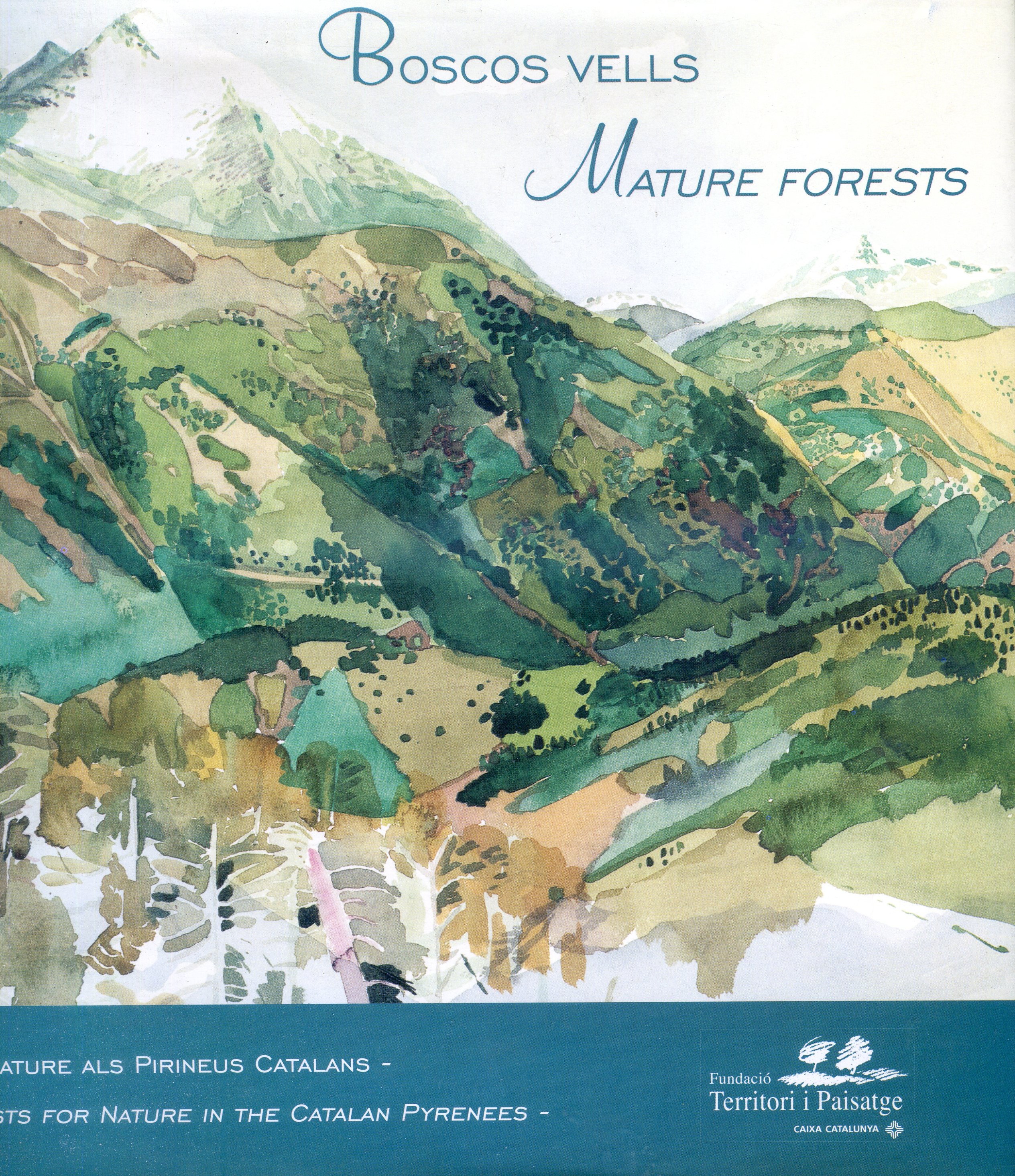 Boscos vells : Artists for Nature als Pirienus Catalans : Mature forests : Artists for Nature in the Catalan Pyrenees - Portada